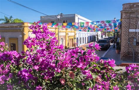 Discover the Charm of Todos Santos Magical Village: An Unforgettable Escape